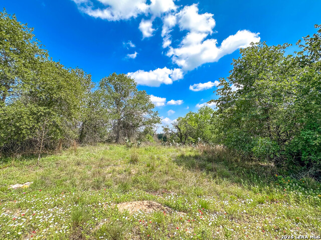 108 Misty Bend Property Photo 19