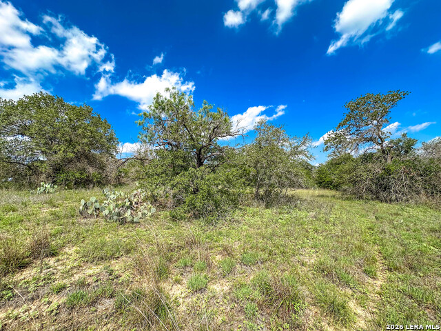 108 Misty Bend Property Photo 20