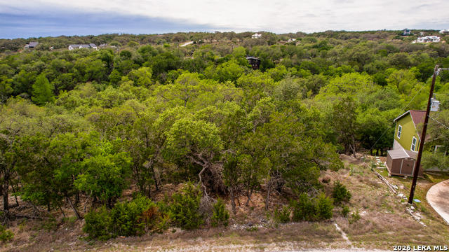 183 Palm Property Photo 3