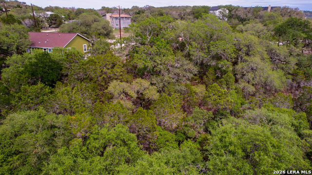 183 Palm Property Photo 5