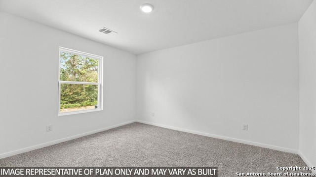 2013 Giant Cactus Property Photo 9
