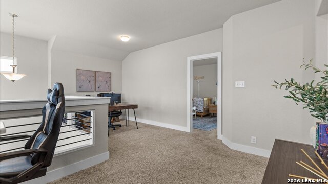 21114 Chestnut Cove Property Photo 24