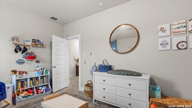 21114 Chestnut Cove Property Photo 26