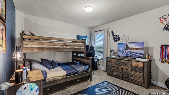 21114 Chestnut Cove Property Photo 29