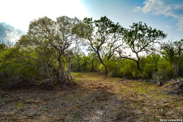 0 Cr 207 Property Photo 1