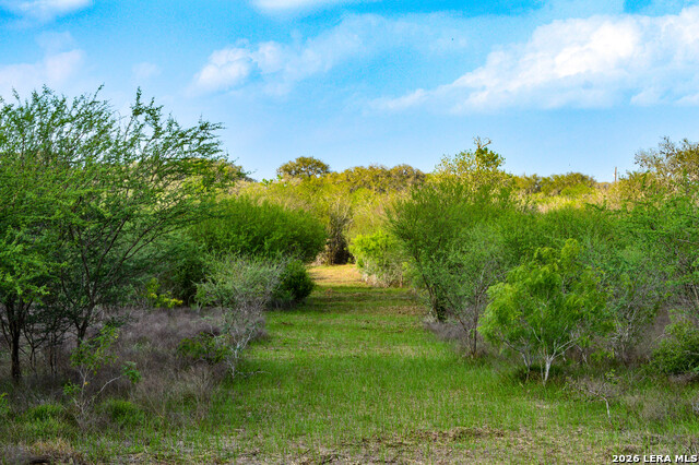 0 Cr 207 Property Photo 3