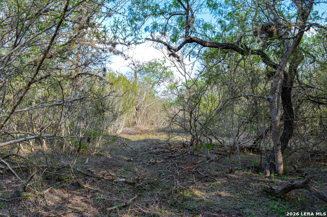 0 Cr 207 Property Photo 20