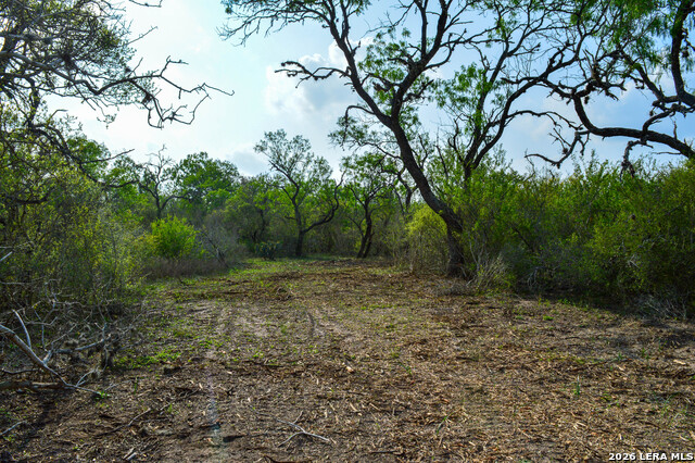 0 Cr 207 Property Photo 22