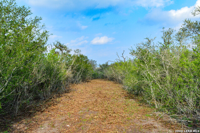 0 Cr 207 Property Photo 24