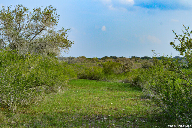 0 Cr 207 Property Photo 25