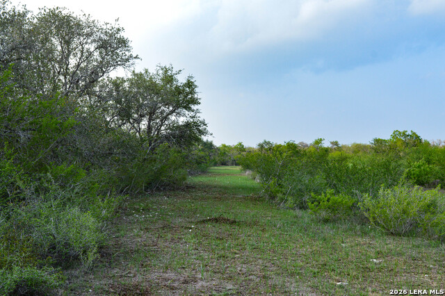 0 Cr 207 Property Photo 26