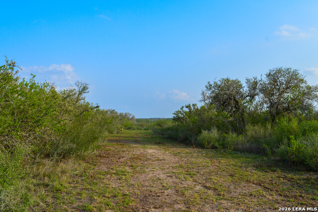 0 Cr 207 Property Photo 31