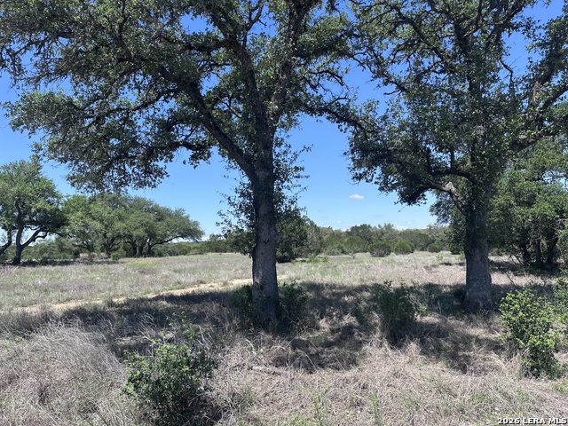 322 Serenity Pass Property Photo 5