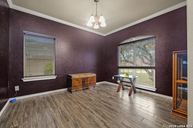 8923 Rainbow Creek Property Photo 7