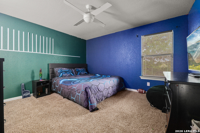 8923 Rainbow Creek Property Photo 22