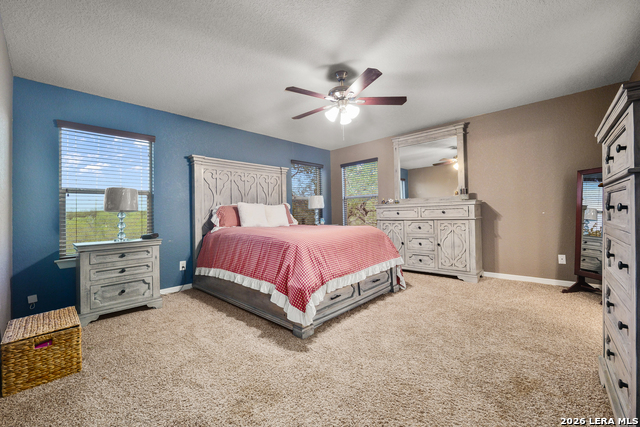 8923 Rainbow Creek Property Photo 23
