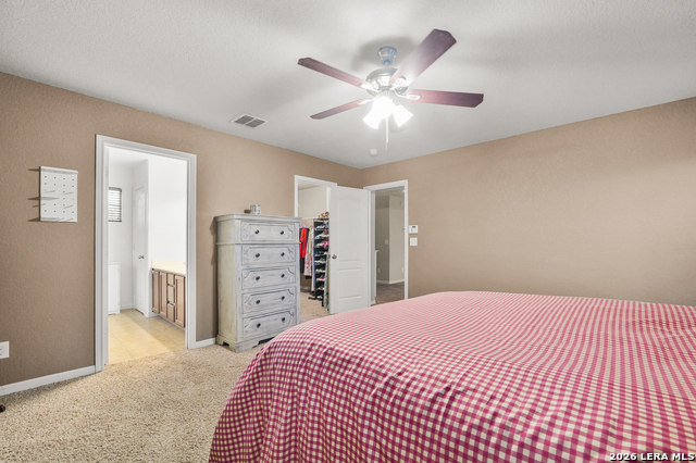 8923 Rainbow Creek Property Photo 24