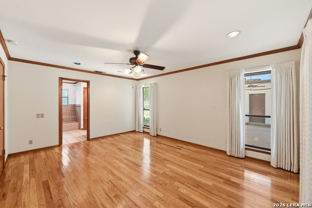 901 Gentilz Property Photo 18