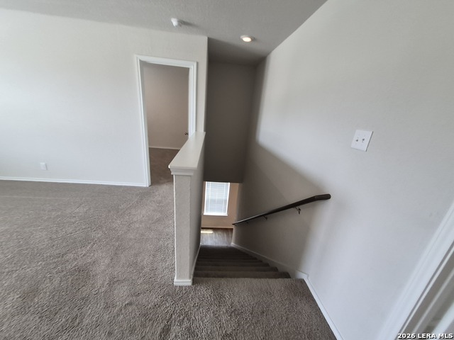 465 Middle Green Loop Property Photo 18