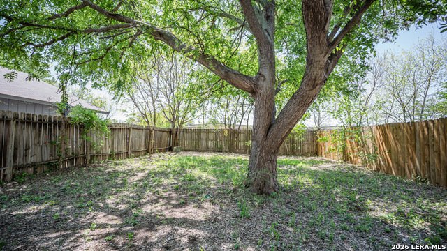 9914 Ardash Ln Property Photo 42