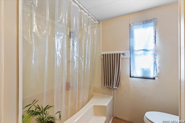 1411 B & C Democrat Property Photo 13