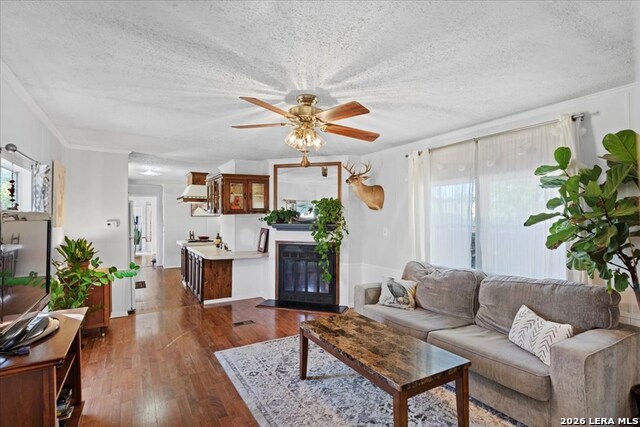 1411 B & C Democrat Property Photo 20