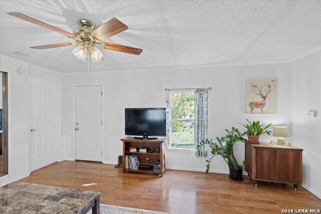 1411 B & C Democrat Property Photo 24
