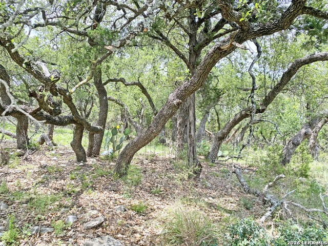 25726 Echo Mtn Property Photo 1