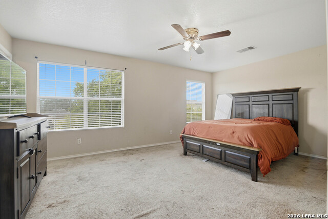 10102 Southern Sun Property Photo 14