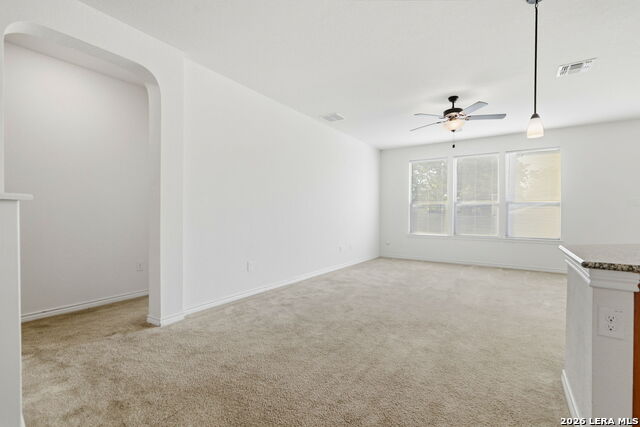 205 Lone Falls Dr Property Photo 11