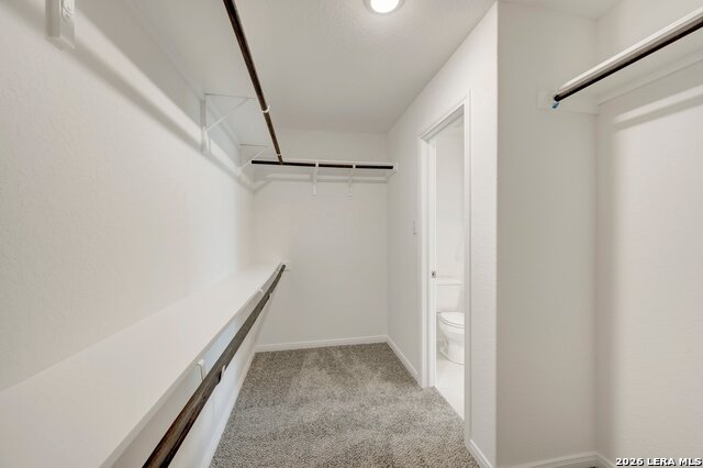 2848 Cavern Grove Property Photo 27