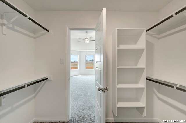 2848 Cavern Grove Property Photo 29