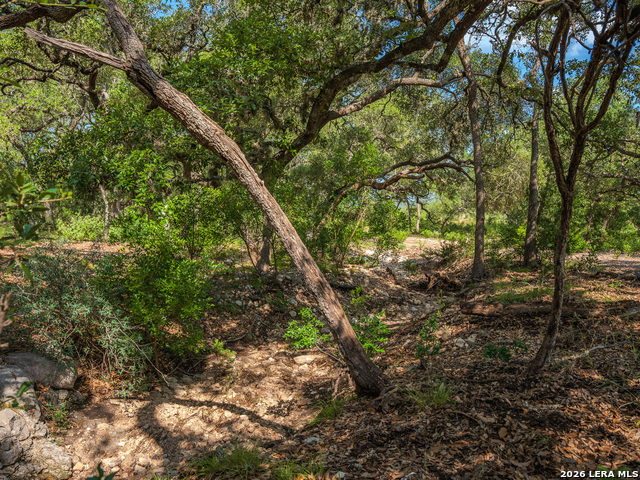 401 Pr 2410 Property Photo 43