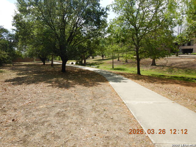 122 Downing Property Photo 36