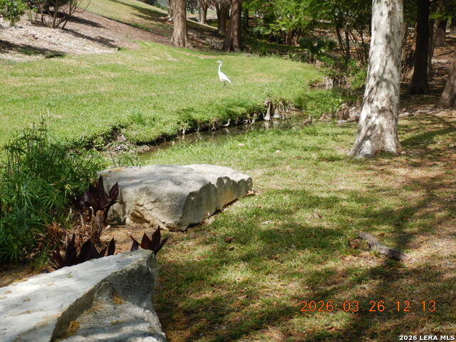 122 Downing Property Photo 37