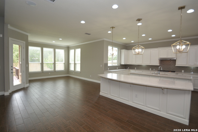 12414 Maurer Ranch Property Photo 11