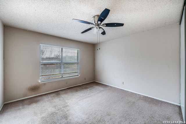 6903 Beech Trail Dr Property Photo 22