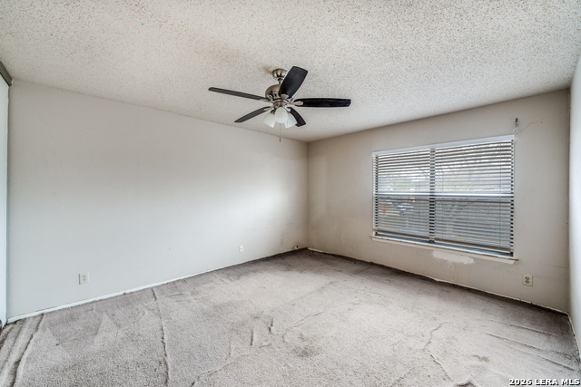 6903 Beech Trail Dr Property Photo 23