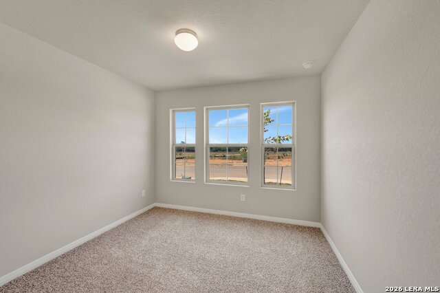 6260 Persimmon Lake Property Photo 31