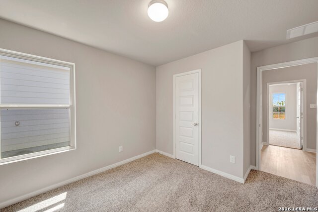 6260 Persimmon Lake Property Photo 35