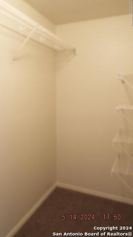 26144 Amber Sky Property Photo 22