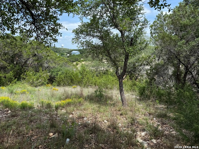 1252 High Hills Dr Property Photo 2
