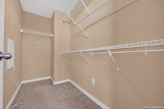 8447 Meadow Plains Property Photo 28