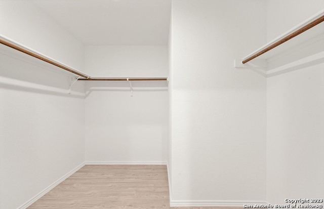 10258 Asta Trl Property Photo 15