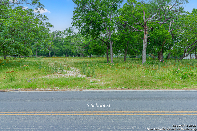 0 School St & San Antonio Property Photo 15