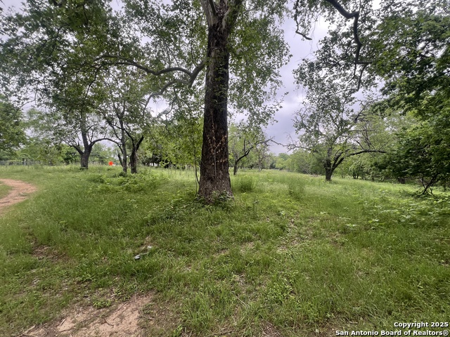 0 School St & San Antonio Property Photo 19
