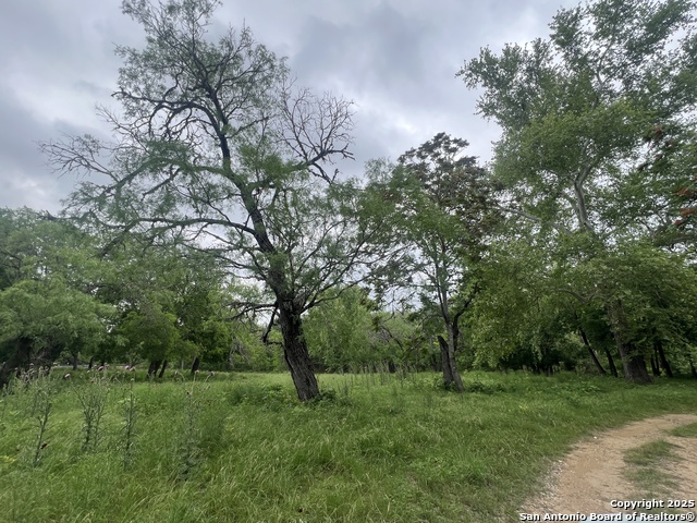 0 School St & San Antonio Property Photo 21