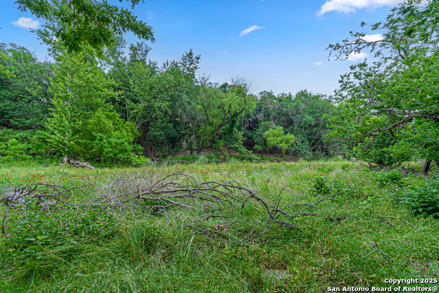 0 School St & San Antonio Property Photo 25