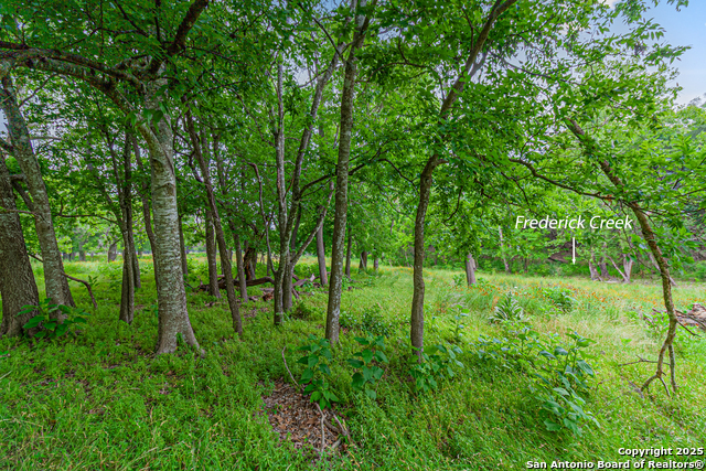 0 School St & San Antonio Property Photo 28