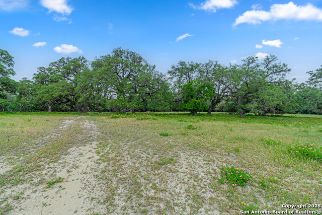 0 School St & San Antonio Property Photo 44